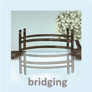 Bridging ─ Spanish Reading & Writing