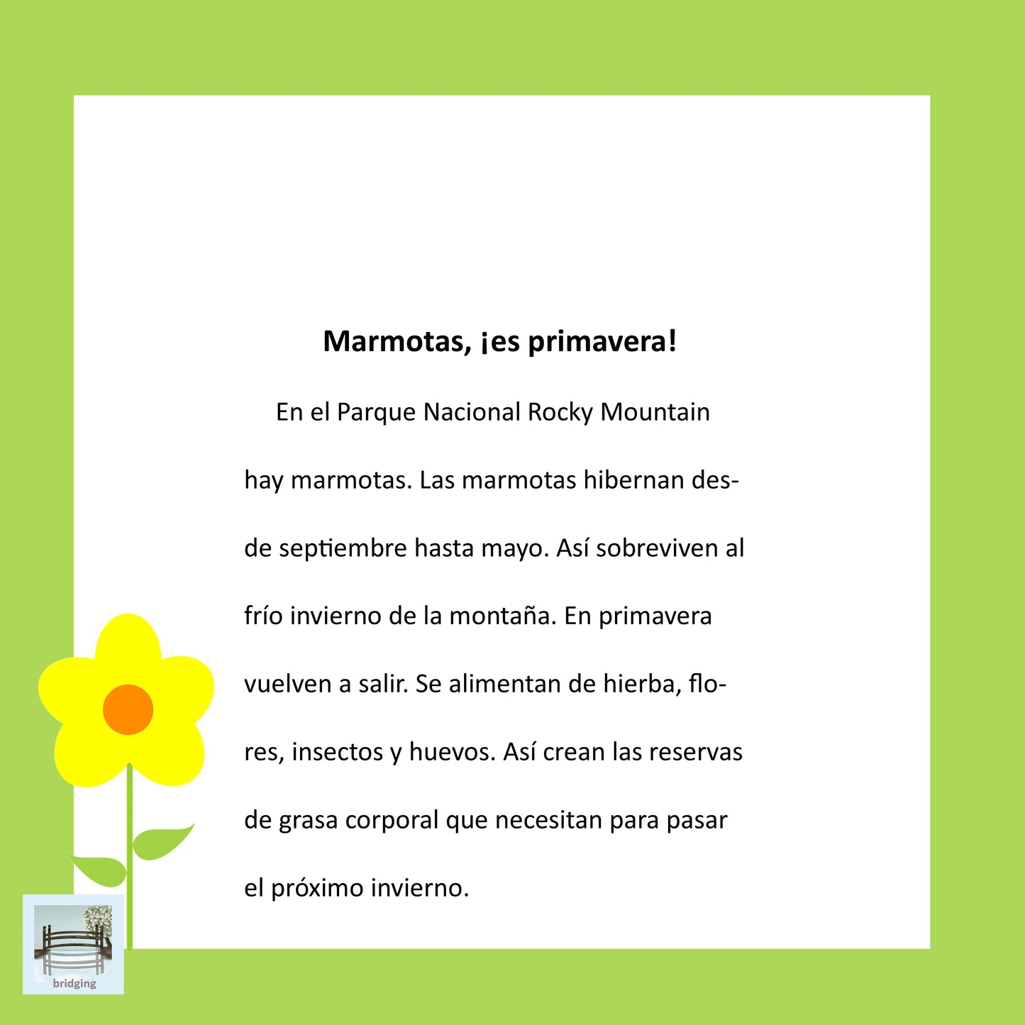 Easy Short Stories in Spanish for Beginners | Lecturas para niños | Digital Download Only